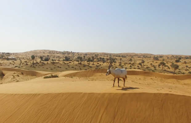 Ras Al Khaimah